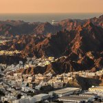 absolute-muscat-picture-1