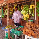 oman-oman-salalah-4_1200x0-1